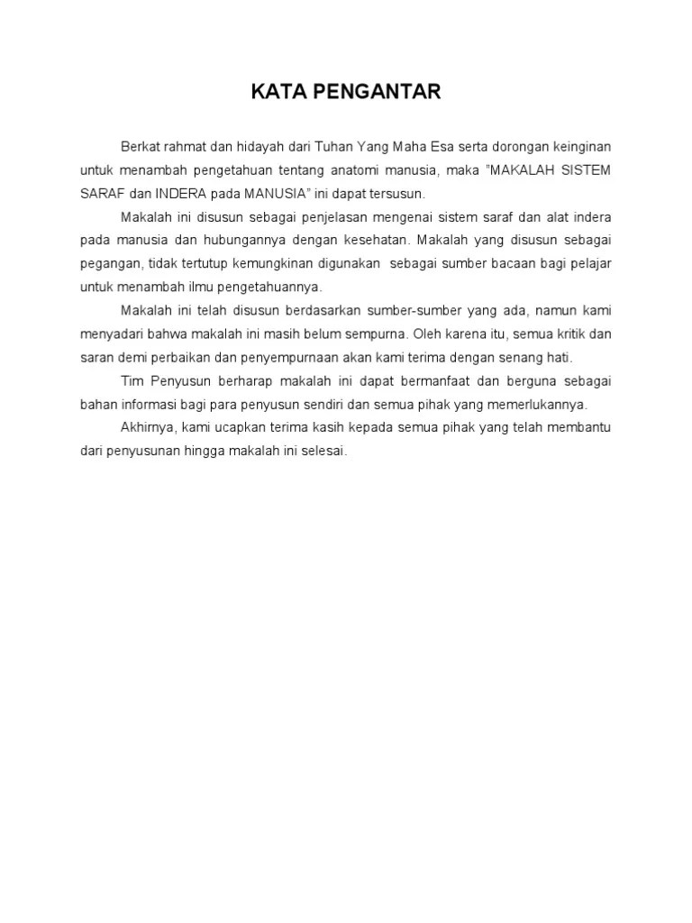 Sistem Indera (Biologi) | PDF