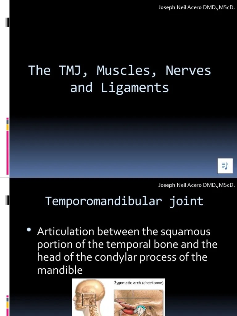 The TMJ, Muscles, Nerves, And Ligaments With Voice Over - PPSX | PDF | Soft Tissue ...