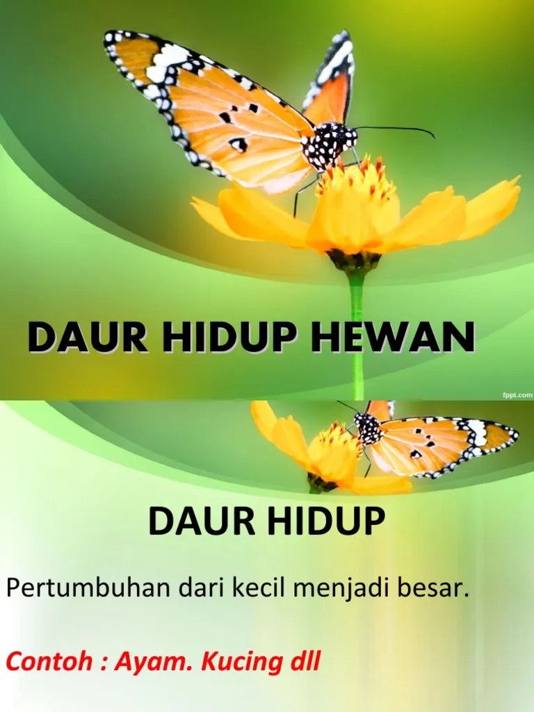 Materi IPA Metamorfosis | PDF