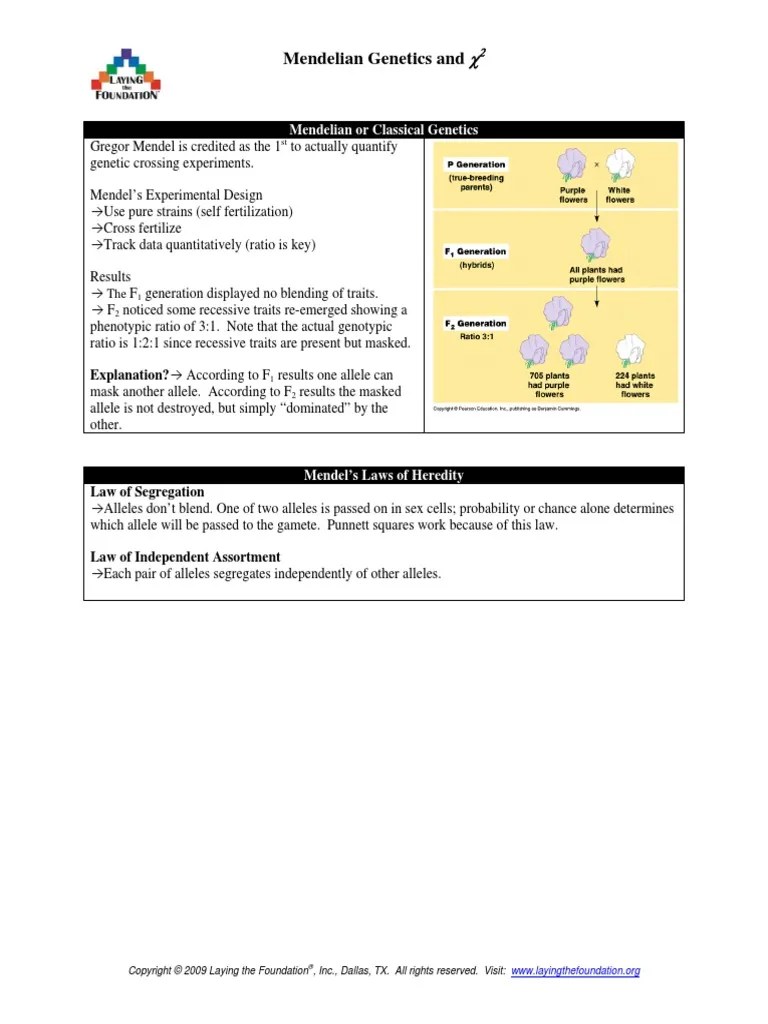 Genetics Study Guide | PDF | Zygosity | Dominance (Genetics)