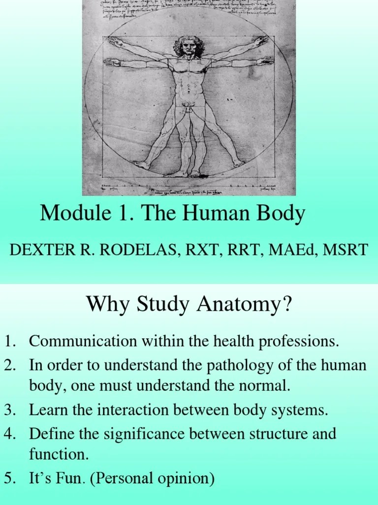 Module 1 - The Human Body | PDF | Anatomical Terms Of Location | Human Body