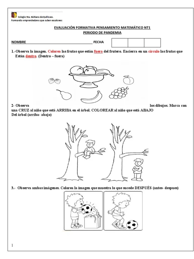 EVALUACION FORMATIVA PRE KINDER Matematicas | PDF | Cognición | Science