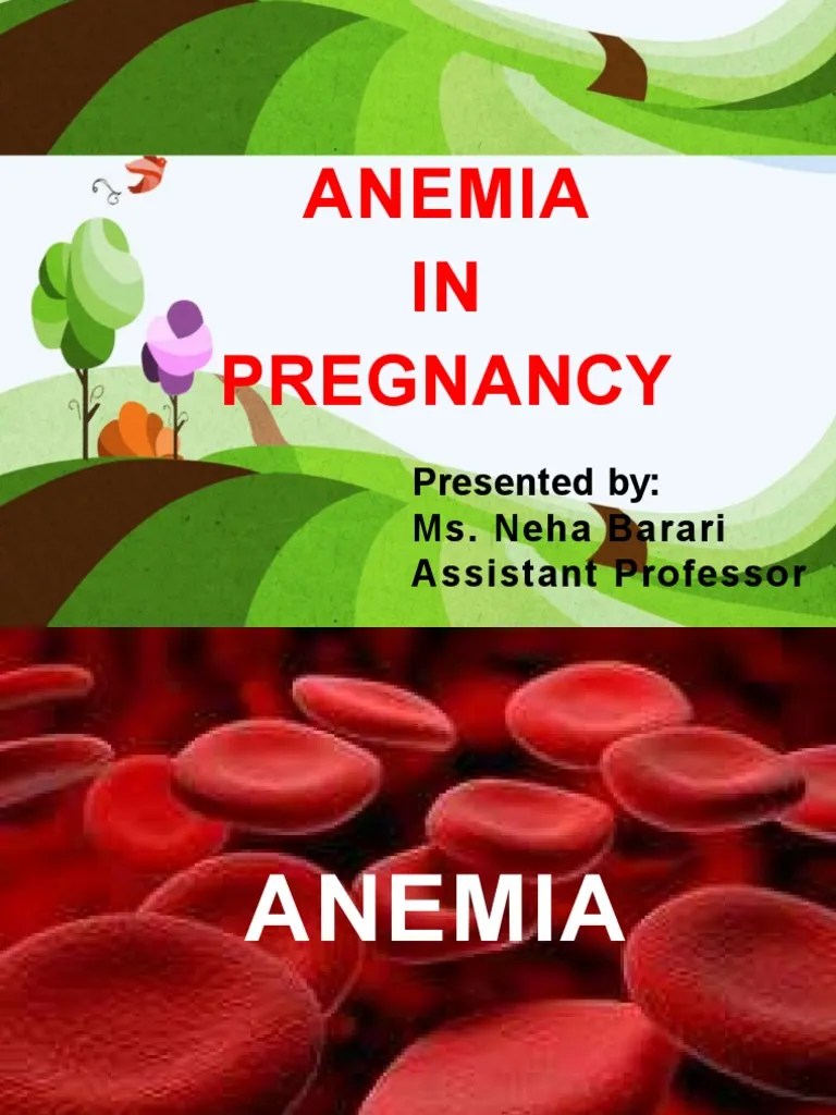 Anemia During Pregnancy | PDF | Anemia | Red Blood Cell