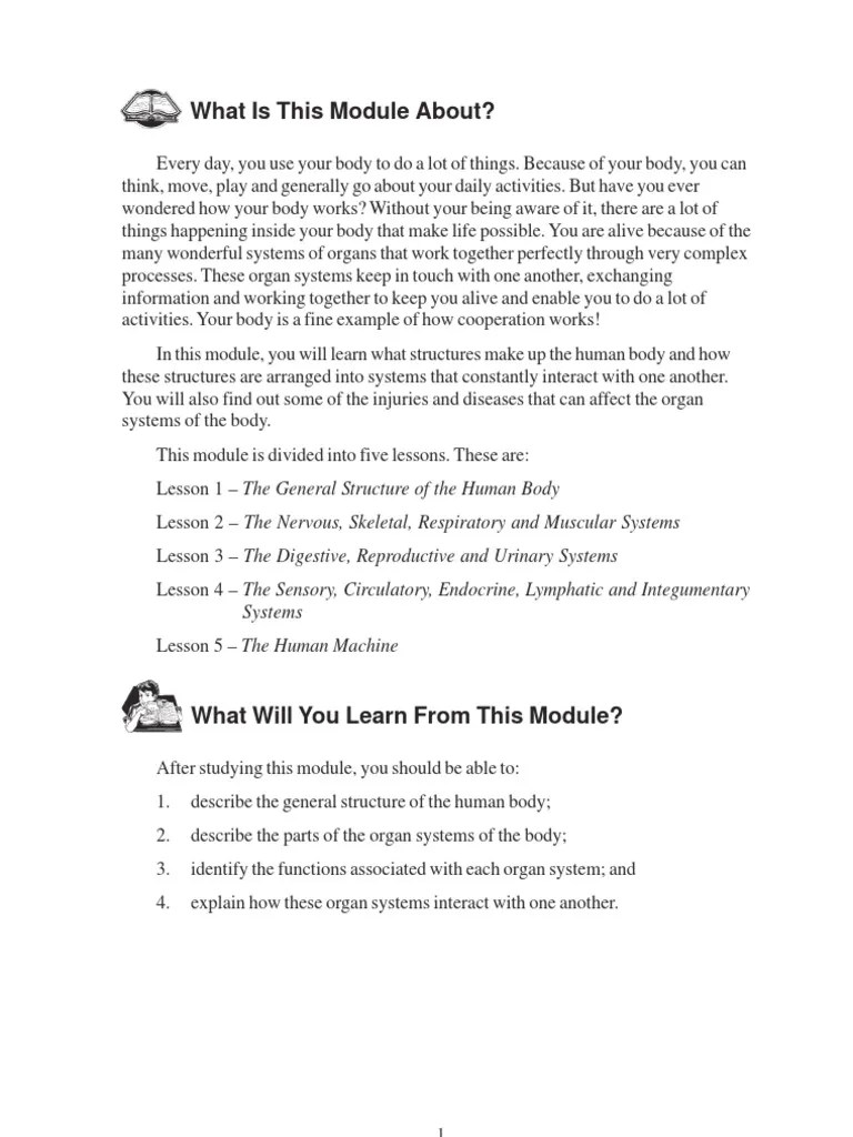 The Organ System Of The Human Body | PDF | Lymphatic System | Senses