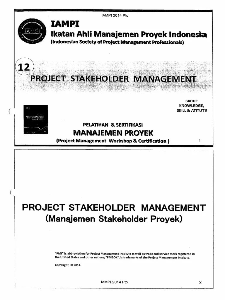 Project Stakeholder Management | PDF