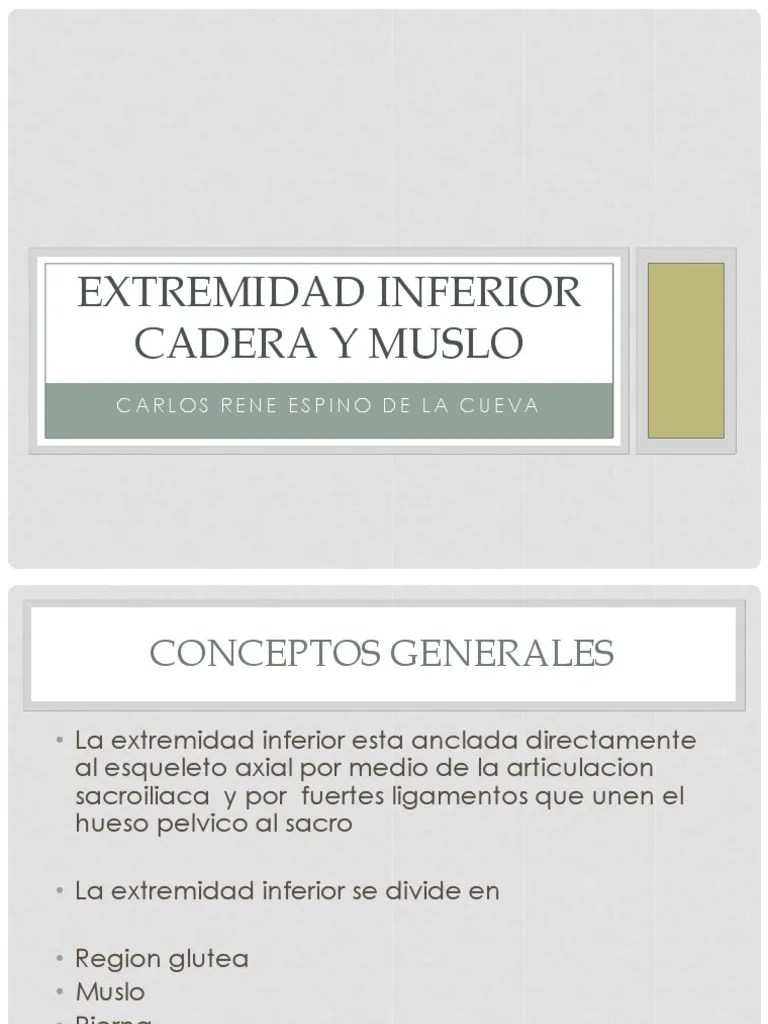 EXTREMIDAD INFERIOR CADERA Y Muslo | PDF | Pelvis | Sistema Musculoesquelético