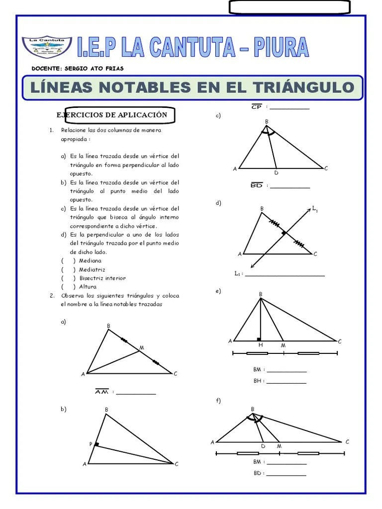 Lineas Notables En El Triangulo | PDF | Triángulo | Geometría Euclidiana