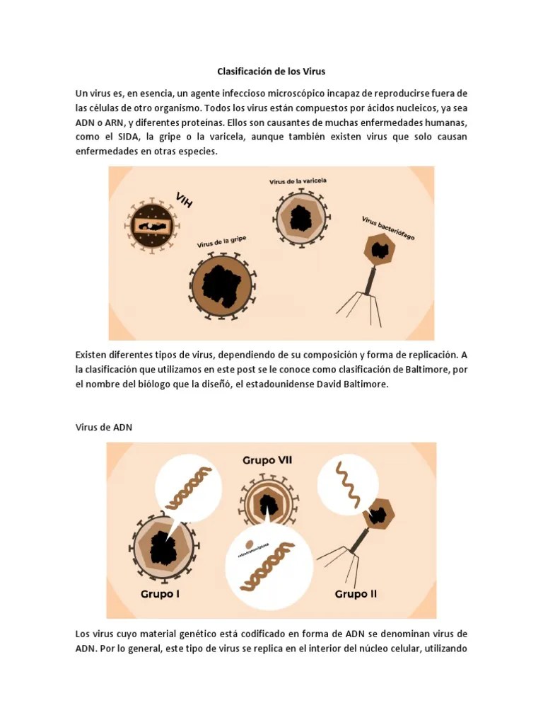 Apunte Clasificación De Los Virus PDF | PDF | La Transcriptasa Inversa | Virus