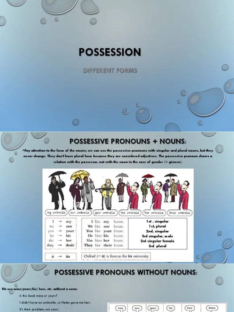 Possession: Different Forms | PDF | Grammatical Number | Plural