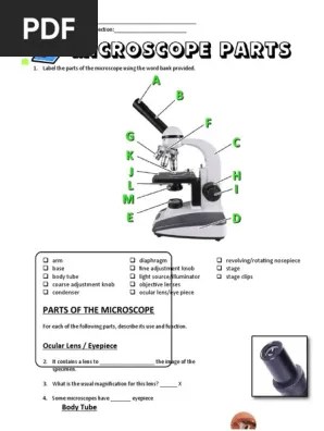 The picture pattern worksheets consist of repeated patterns, growing patterns, sizes, shapes, and color patterns. 13 Microscope Parts Powerpoint Worksheet Pdf Glass Applications Laboratory Equipment