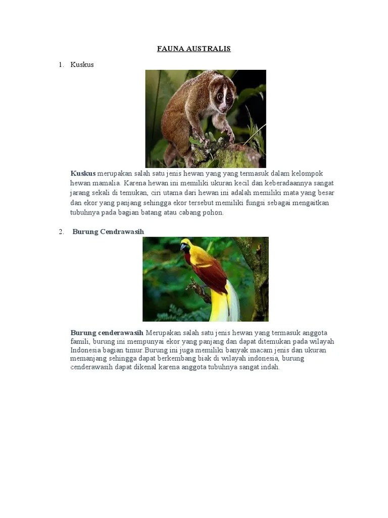 FAUNA AUSTRALIS, ASIATIS DAN PERALIHAN Terbaru | PDF