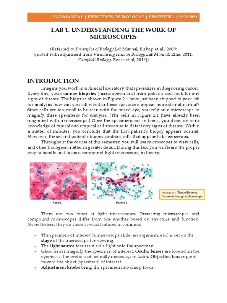 Lab 1. Understanding The Work Of Microscopes: Campbell Biology, Reece ...