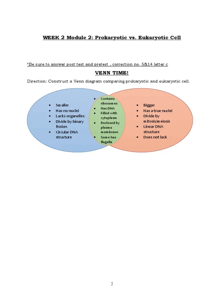 Choose the best answer for the following multiple choice questions. Kin Calvin Martinez Bio1 Module3 Eukaryoticprokaryotic Worksheet Pdf Prokaryote Cell Biology