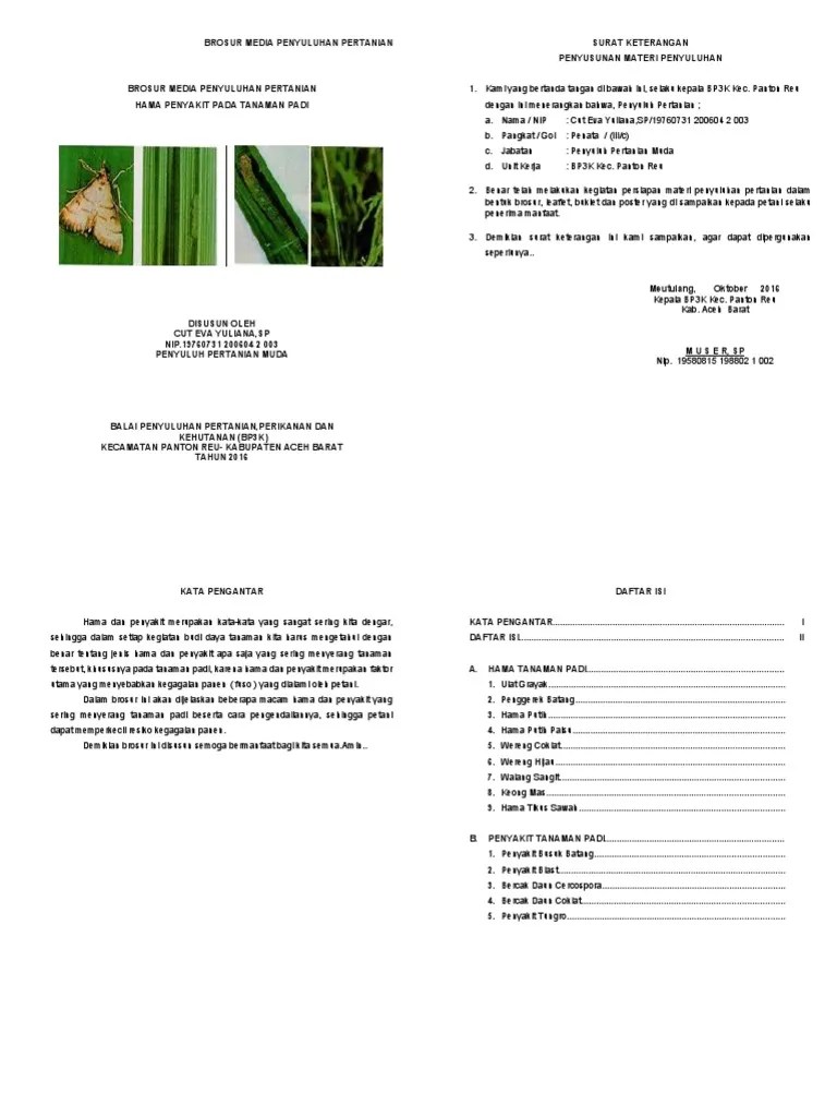 Brosur HPT Padi | PDF