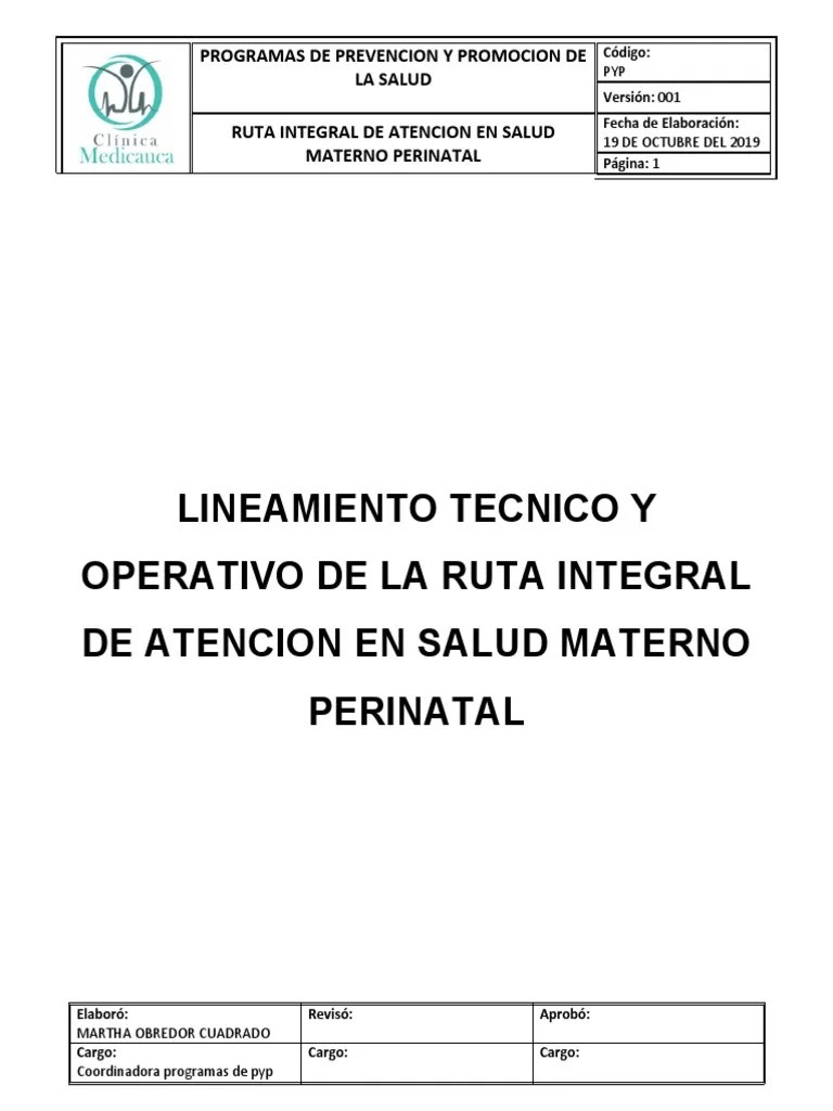 CLINICA Ruta Integral De Atencion En Salud Materno Perinatal | PDF ...