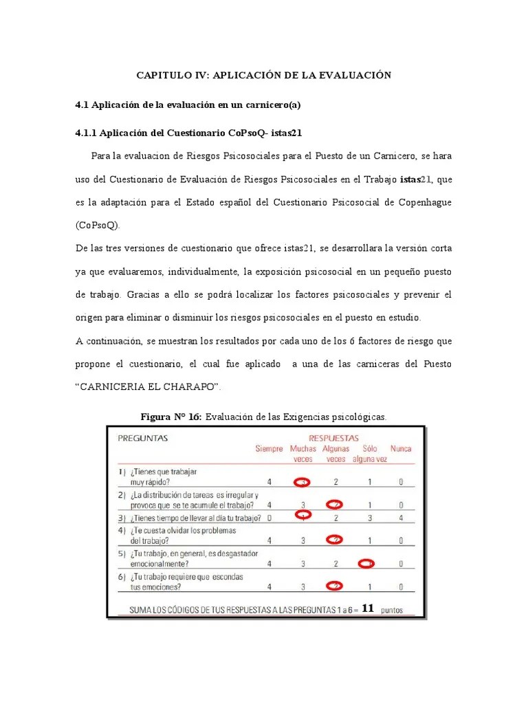 Ejemplo Evaluacion Riesgos Psicosociales | PDF | Estrés (biología) | Carne