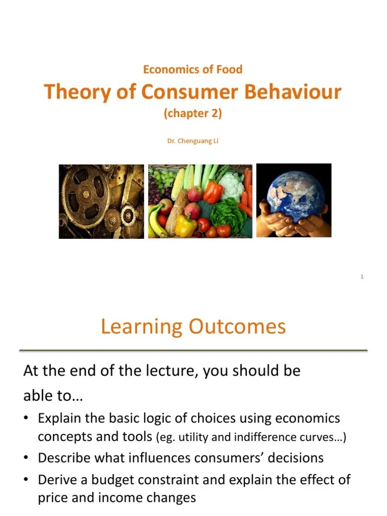 Theory Of Consumer Behaviour (Chapter 3) | PDF | Utility | Marginal Utility