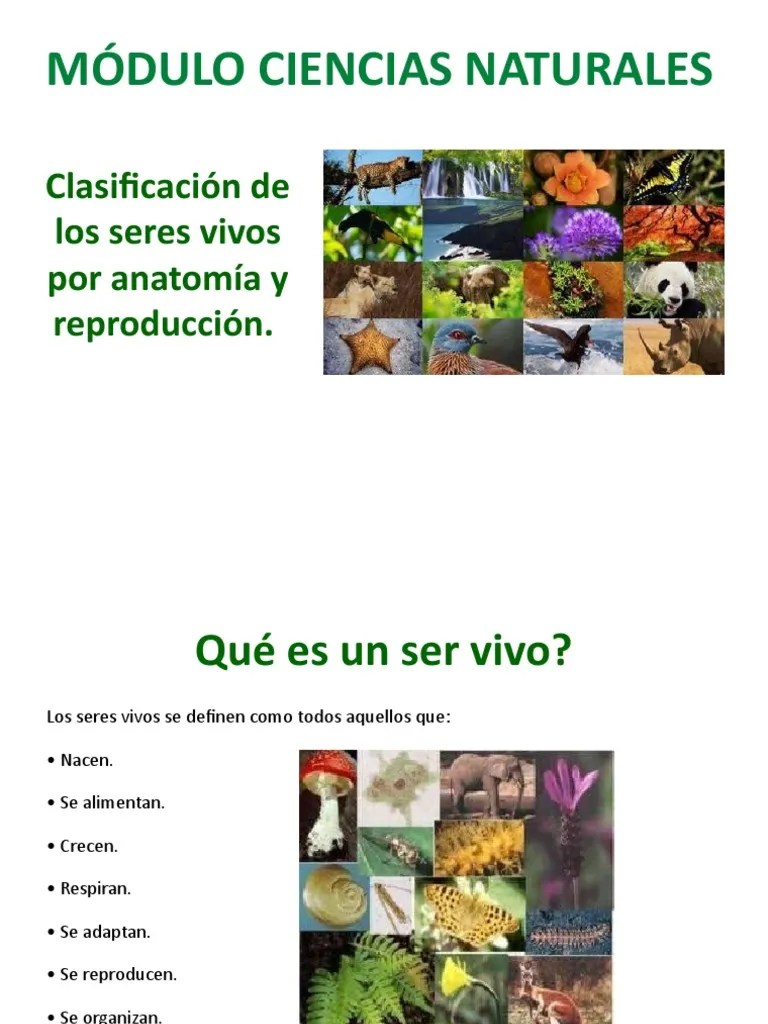 Ciencias Naturales Clasificación De Los Seres Vivos | PDF | Plantas | Hongo