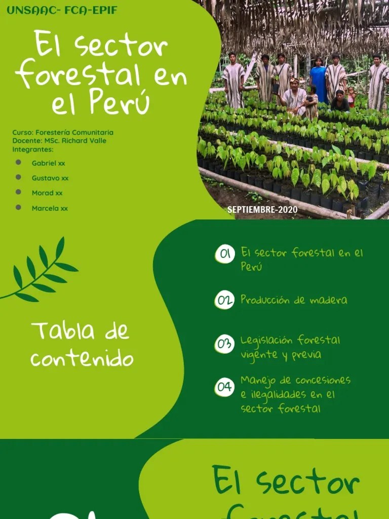 Sector Forestal Del Perú, Forestería Comunitaria - Gabriel CO, Gustavo AA, Marcela CO Y Morad LQ ...