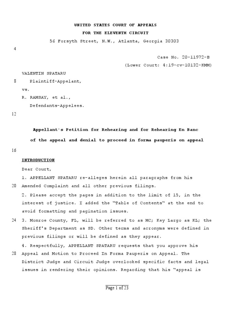 Petition For Rehearing En Banc | PDF | Racketeer Influenced And Corrupt ...
