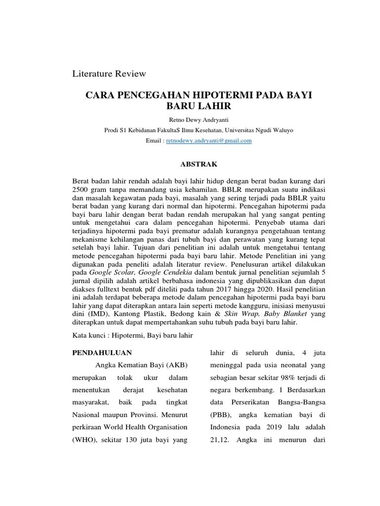 Literature Review | PDF