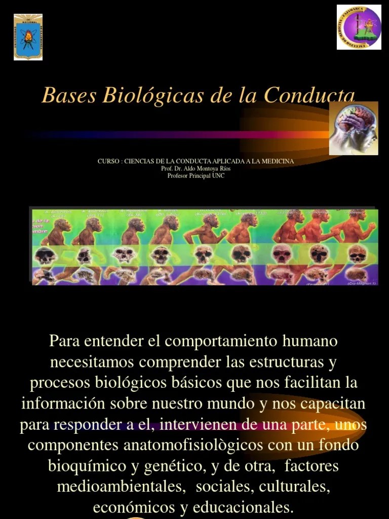 4 Bases Biologicas De La Conducta | PDF | Neurona | Sistema Nervioso Central