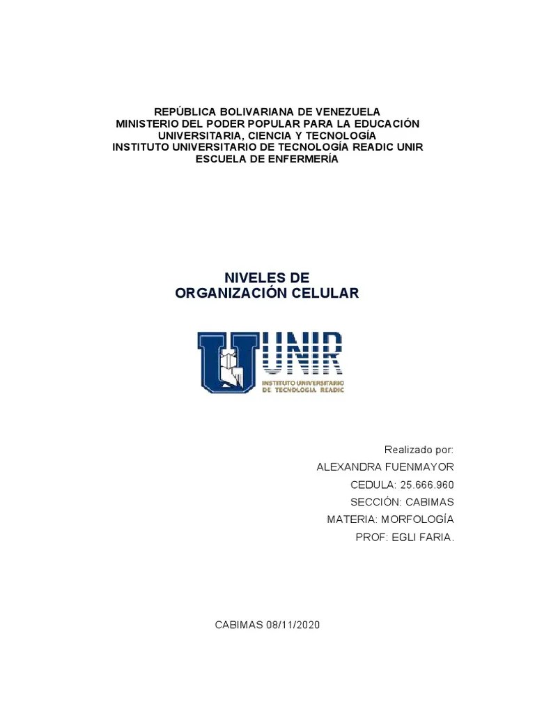 Niveles De Organización Celular PDF | PDF | Tejido (biología ...