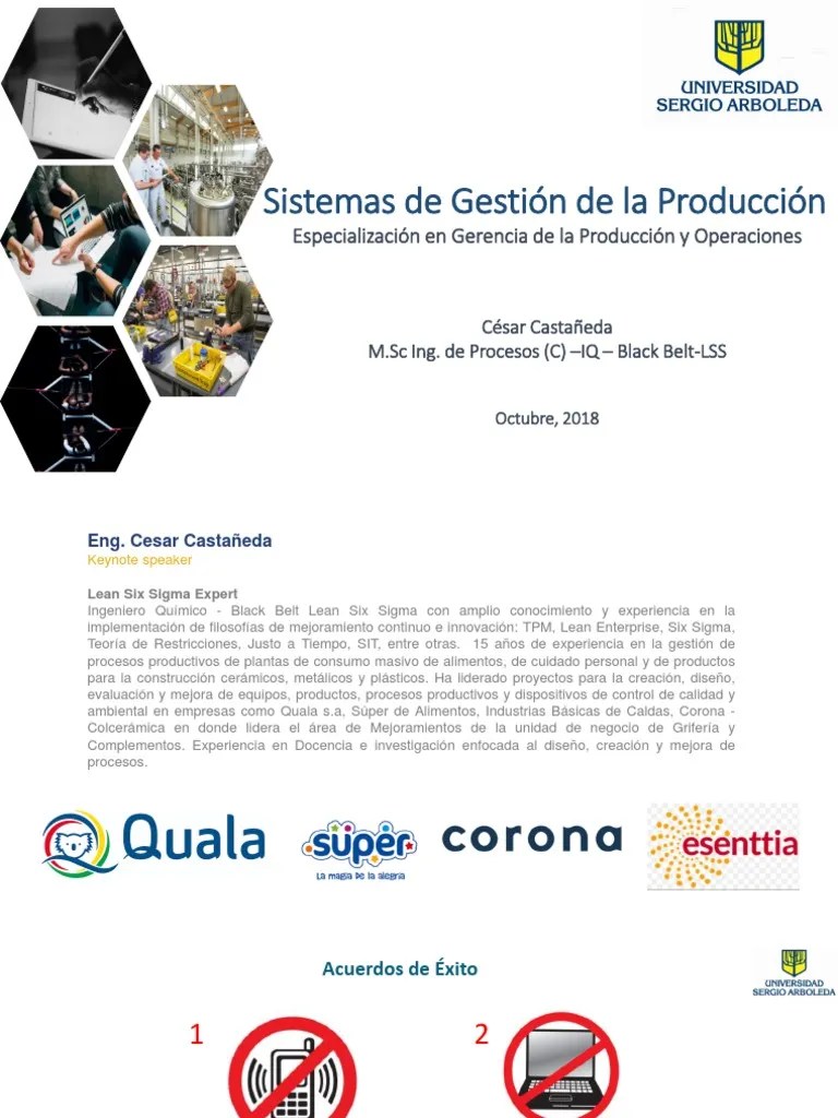 Sesión 1. SGP - Sem 2 - 2019 | PDF | Cadena De Valor | Six Sigma