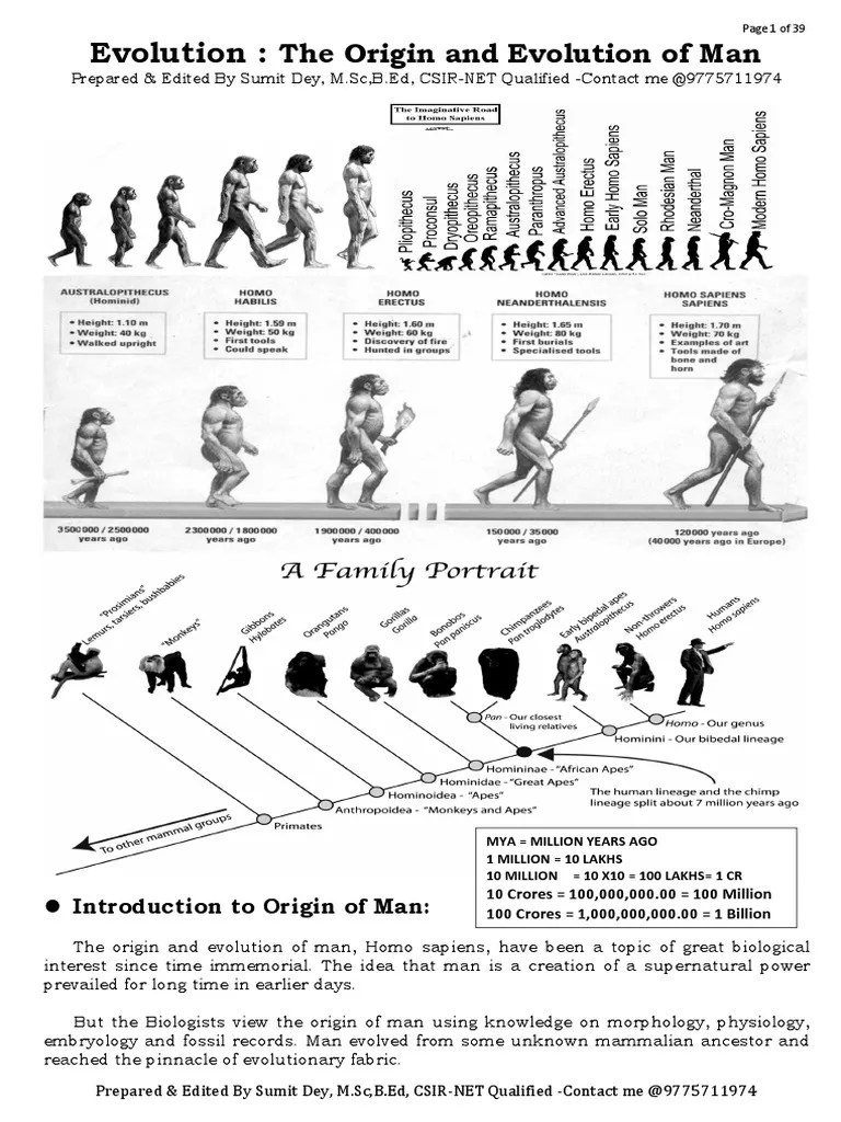 Evolution:: The Origin And Evolution Of Man | PDF | Homo | Hominidae