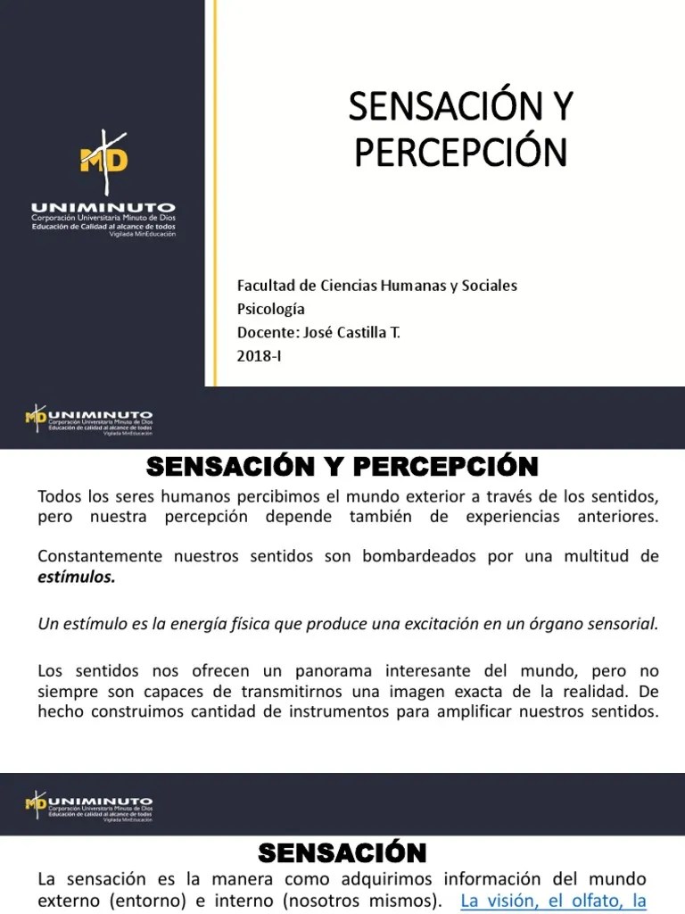 Tema 3 Sensación Y Percepción PDF | PDF | Percepción | Dolor