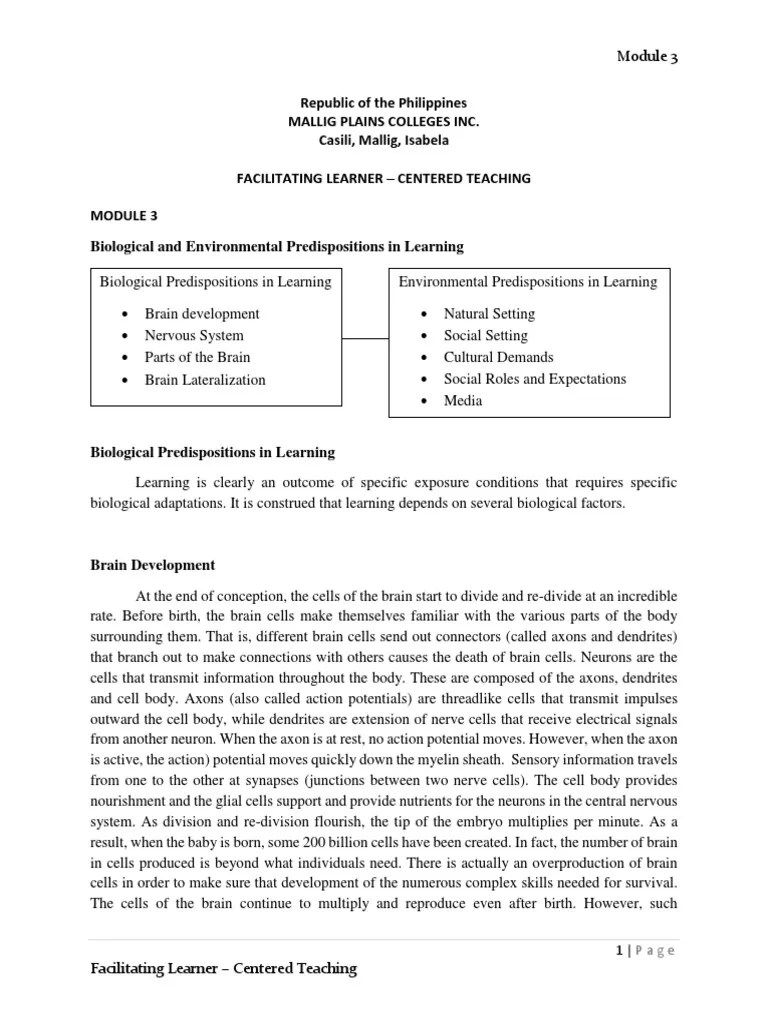Module 3 - Facilitating Learner - Centered Teaching | PDF | Central ...