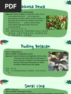 Belacan mengandungi kitosan yang bagus untuk menggalak akar pokok tumbuh . Pokok Herba Edit Pdf