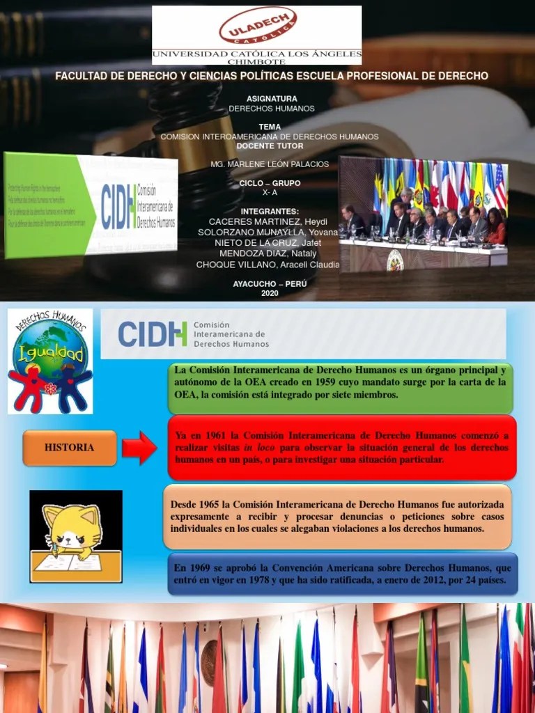 Comision Interamericana De Derechos Humano | PDF | Instituciones Sociales | Ciencias Sociales