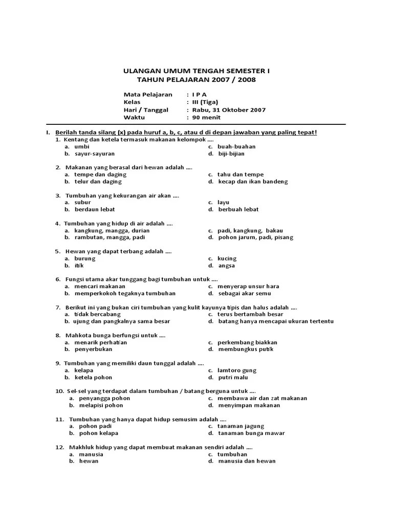 Tanaman Rambutan Berbuah Besar Berdaging Tipis - Berbagi Tanam