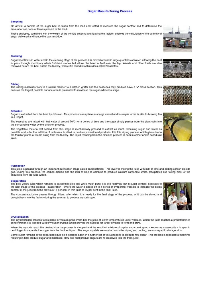 Sugar Manufacturing Process | PDF | Sugar Beet | Sugar