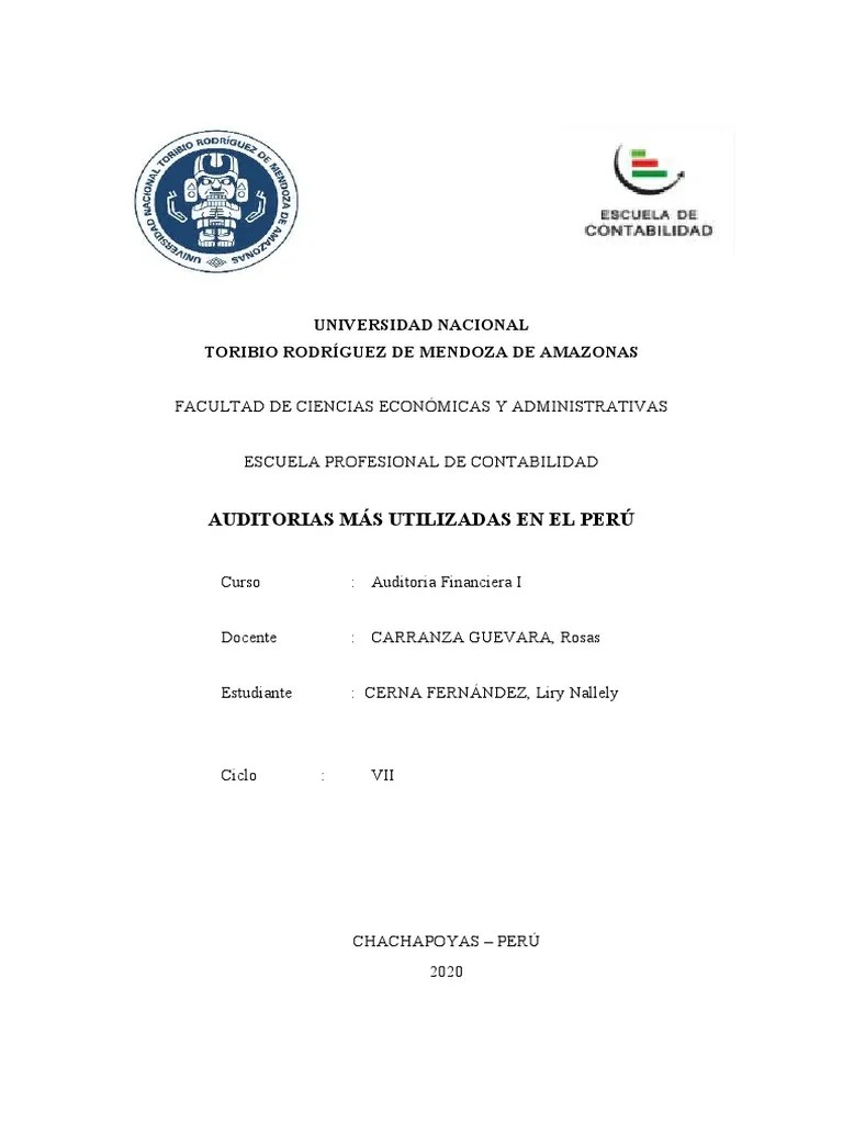 Auditorias En El Perú | PDF | Auditoría | Estado Financiero