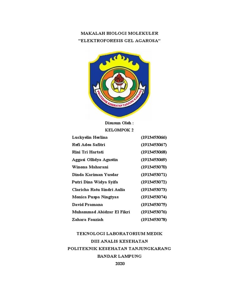 (KELOMPOK 2) Elektroforesis-Gel-Agarosa-2 | PDF