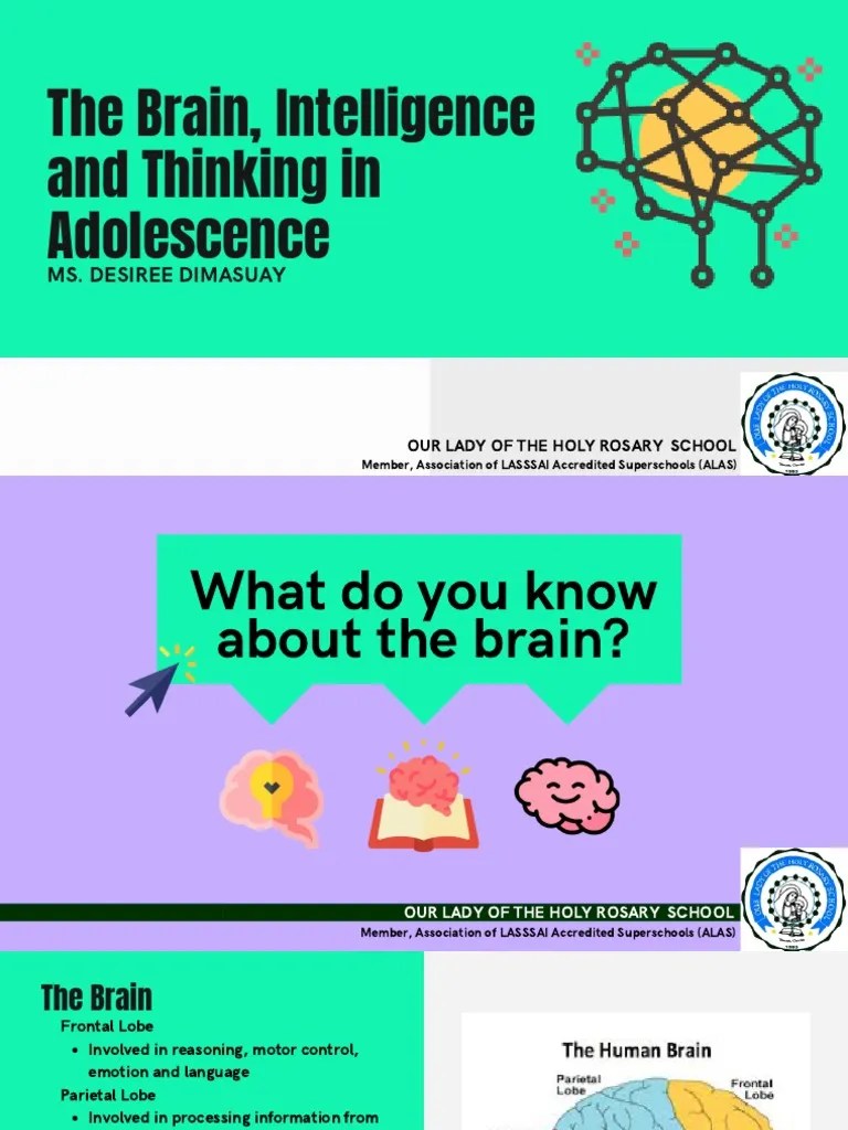 The Brain PDF | PDF | Cerebral Hemisphere | Behavioral Neuroscience