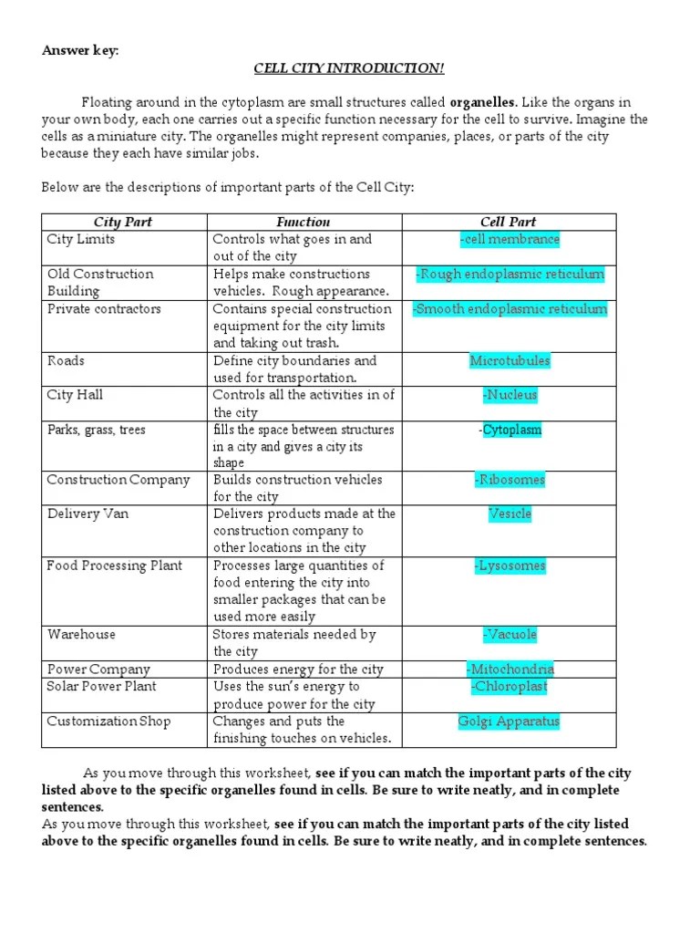 Biology - Cell City Answers | PDF | Endoplasmic Reticulum | Cytoplasm