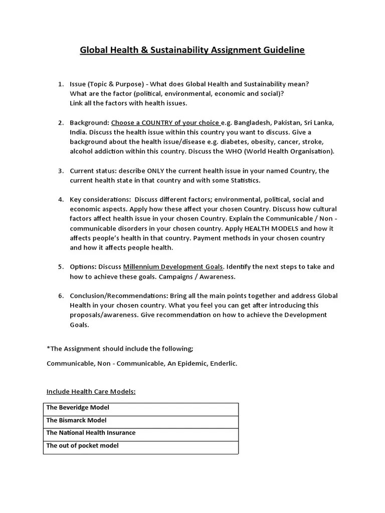 Global Health Assignment Guidelines | PDF