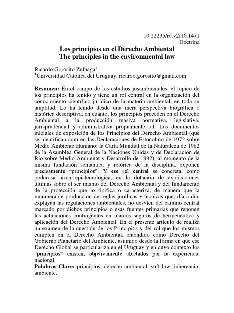 Los Principios En El Derecho Ambiental | PDF | Sustentabilidad | Desarrollo Sostenible