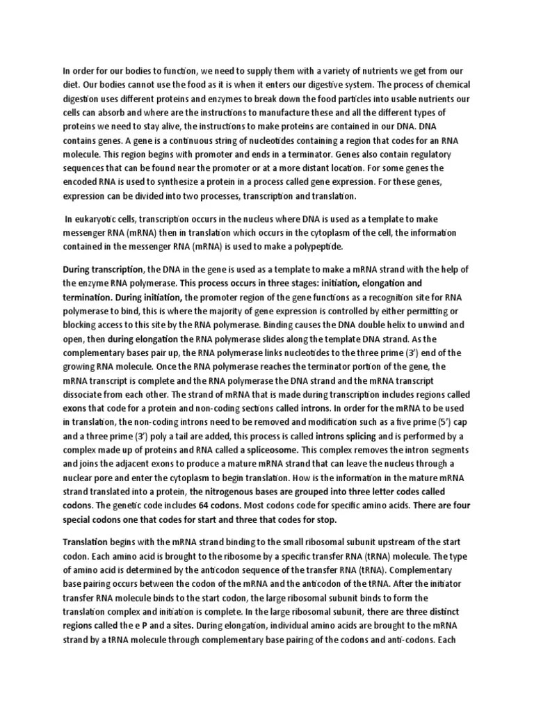 Transcription And Translation | PDF | Translation (Biology) | Rna