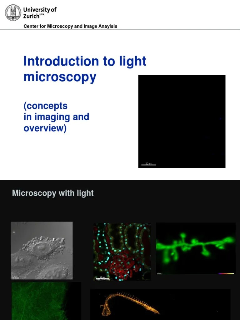 Introduction To Light Micros | PDF | Confocal Microscopy | Microscopy
