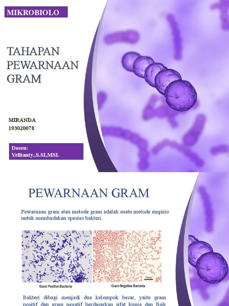 Tugas Mikrobiologi, 193020078 (Miranda) | PDF