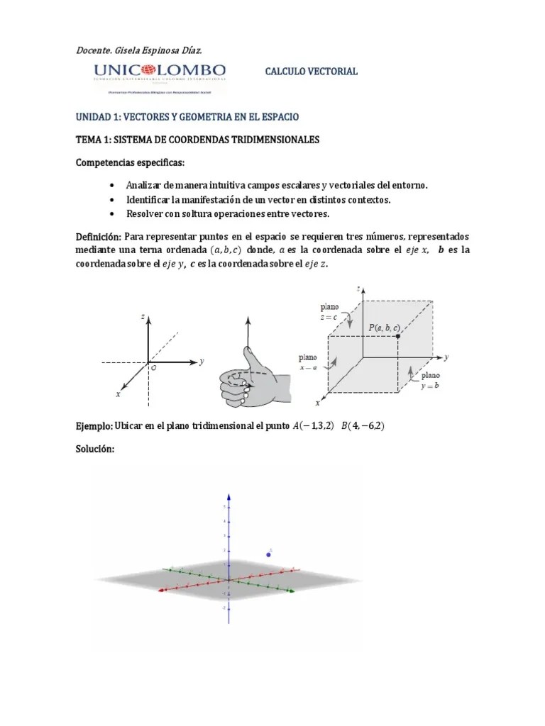 TEMA 1 Vectores Y Geometría En El Espacio | PDF | Vector Euclidiano | Geometria Plana)