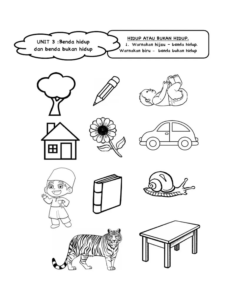Latihan ni sesuai untuk murid aras sederhana dan lemah. Sains Tahun 1 Benda Hidup Pdf