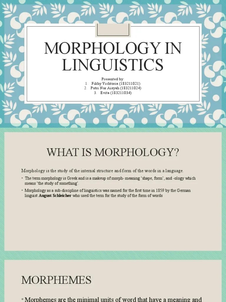Morphology In Linguistics | PDF | Word | Morphology (Linguistics)