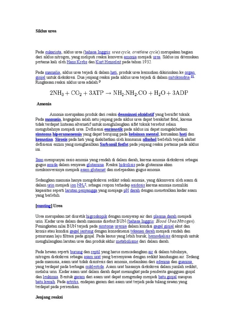 Siklus Urea | PDF