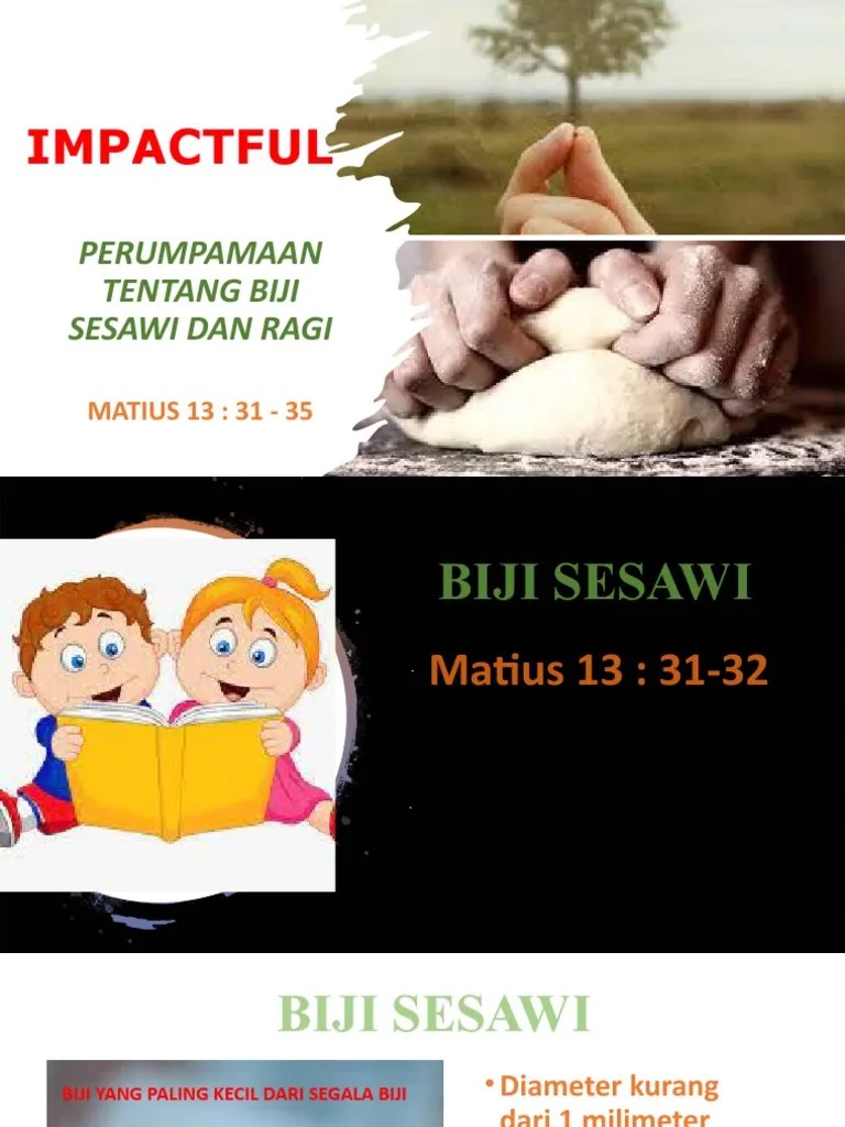 Biji Sesawi Dan Ragi | PDF