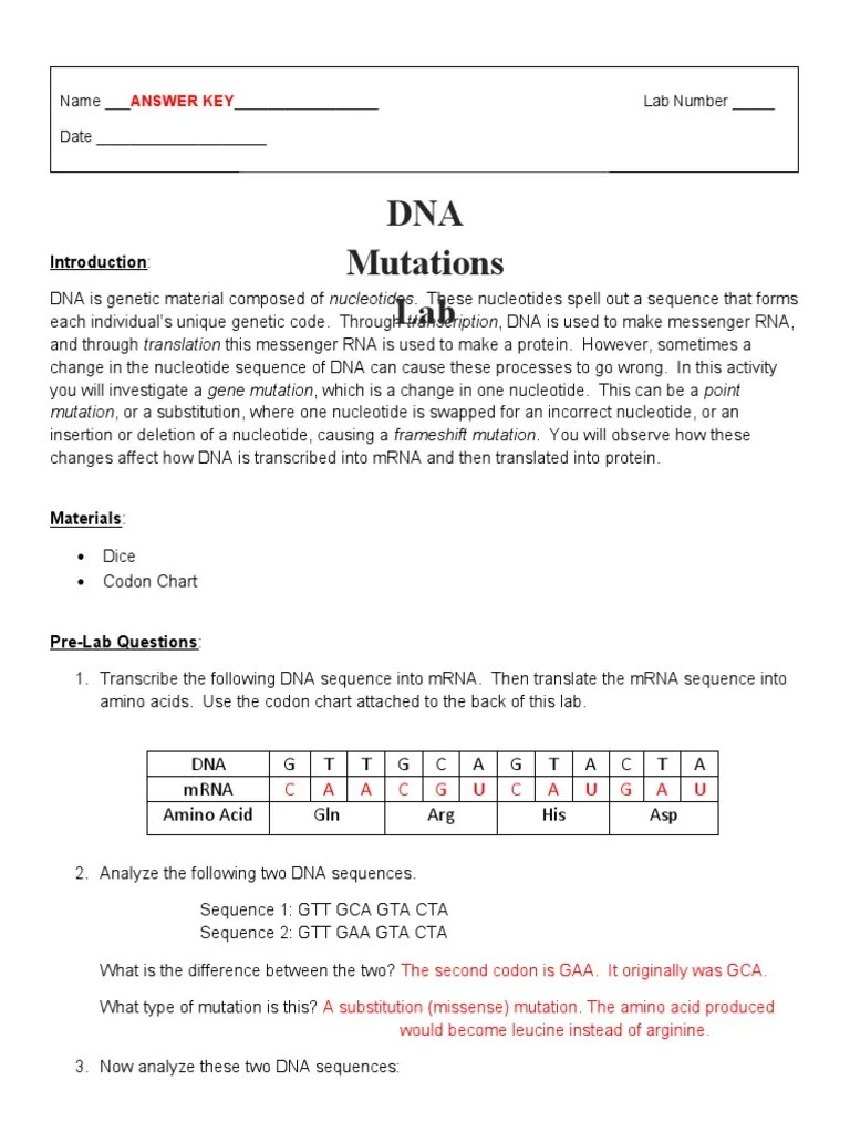DNA Mutations Lab Answer Key | PDF | Genetic Code | Point Mutation